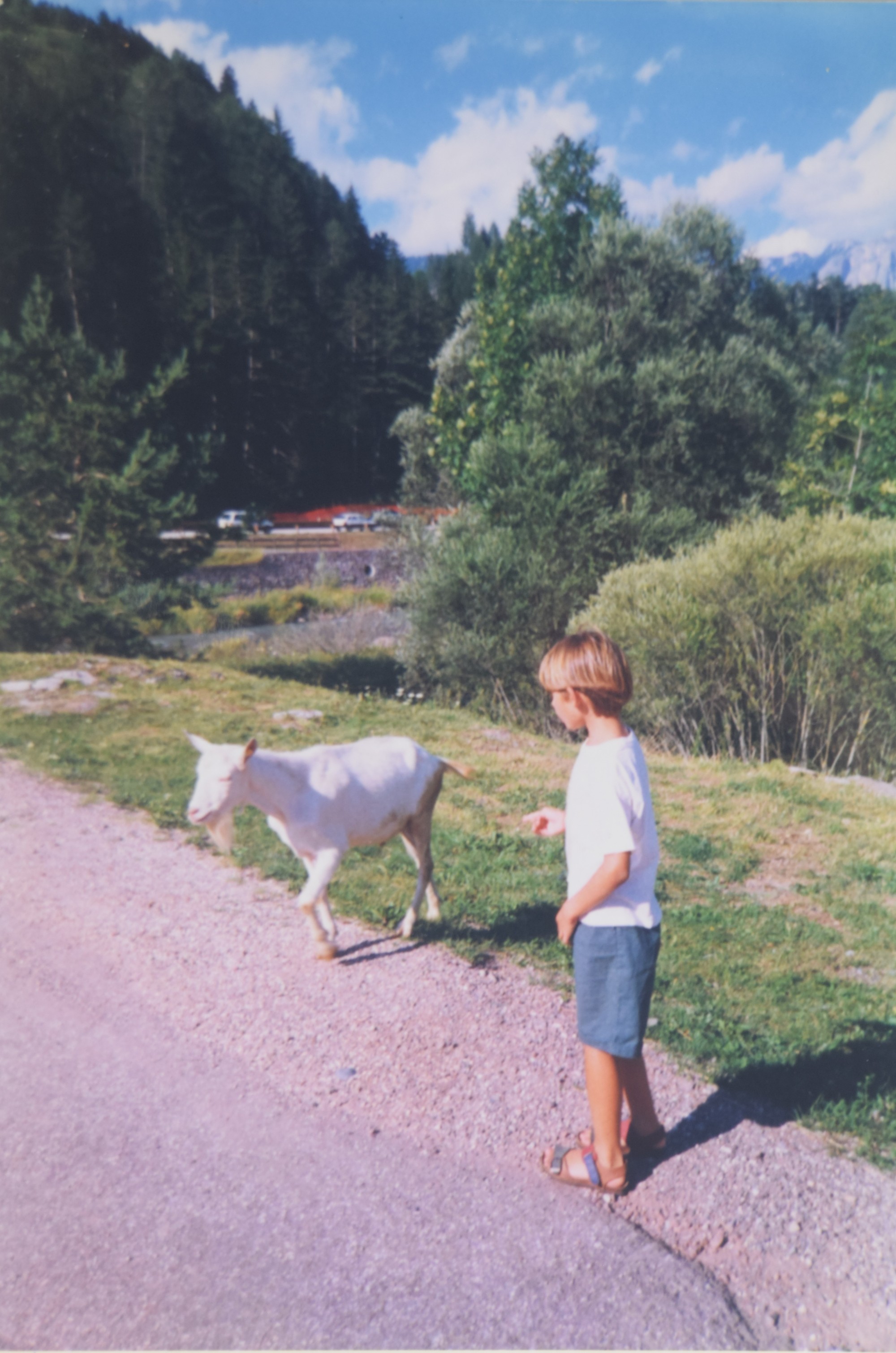 Ho aperto il sito. E mo?